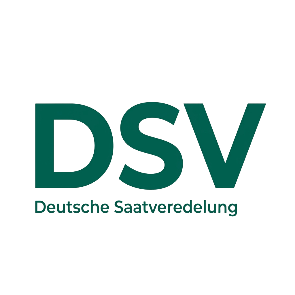 DSV